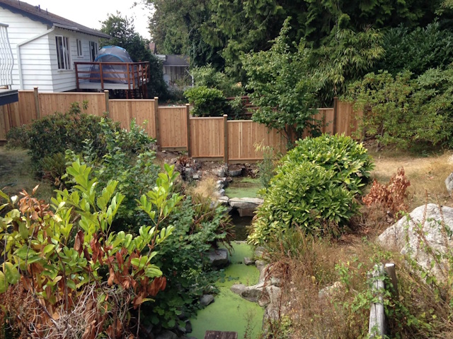 A fencing installation done by West Coast Fencing, displayed as a work sample.